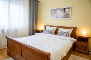 OAK Apartment - Piata Victoriei